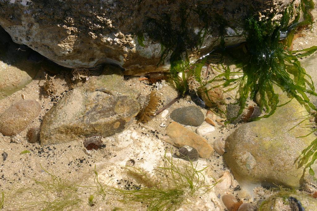 14-07-2008 169.jpg